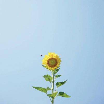 BOB体育登录APP下载